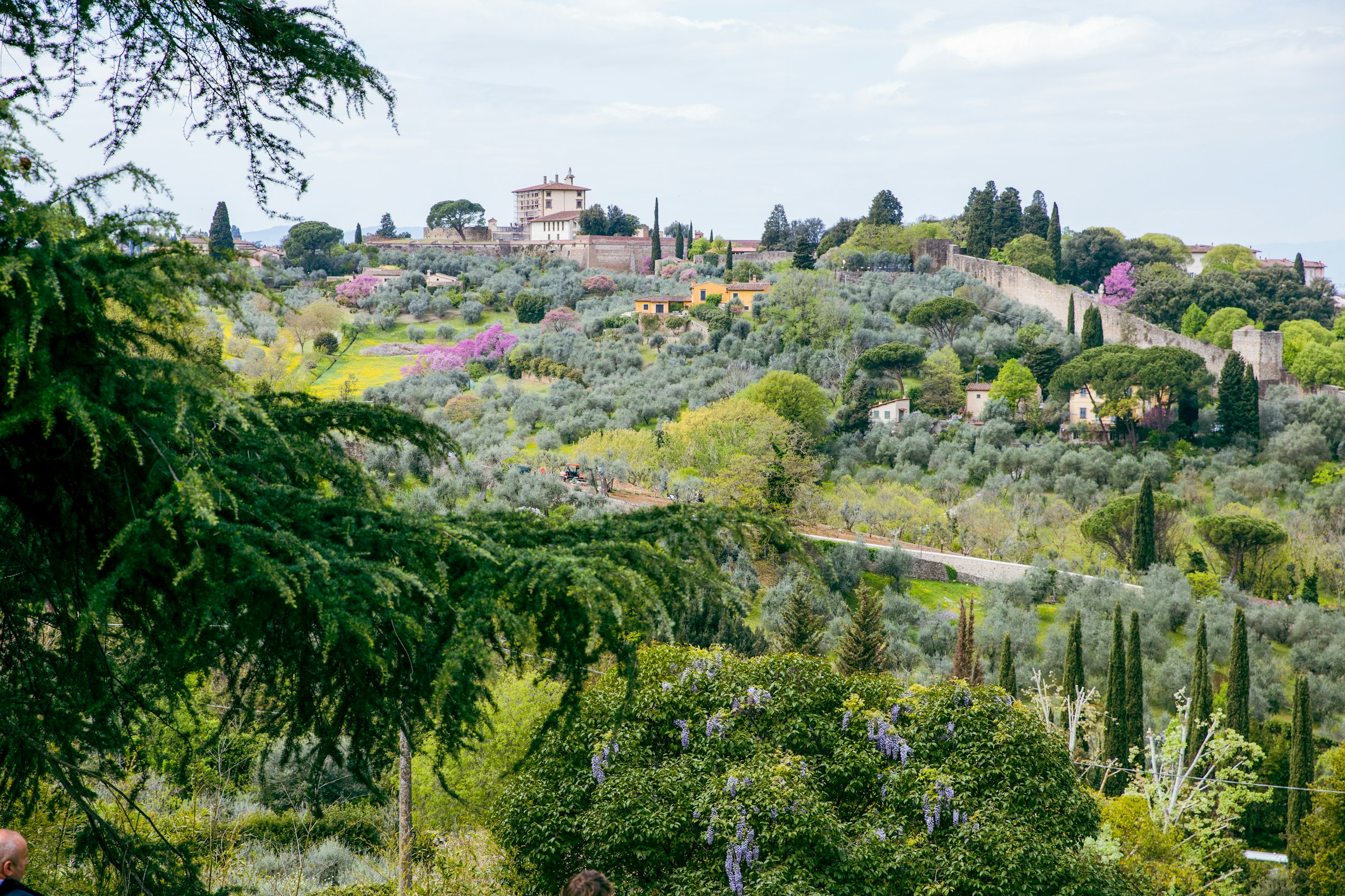 A quiet villa among cypress trees on a hillside